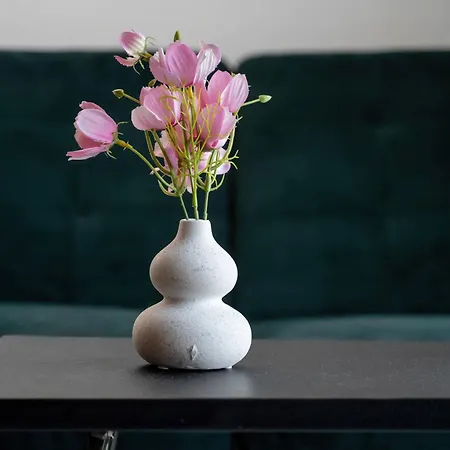 Elegant With Air Conditioning Near The Airport In By Renters Lägenhet