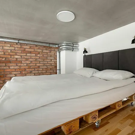 Elegant With Air Conditioning Near The Airport In By Renters Lägenhet *