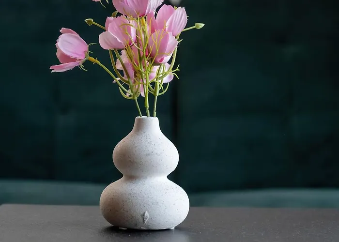 Elegant With Air Conditioning Near The Airport In By Renters Apartamento